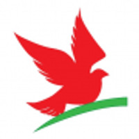 Пансионат Дружба 