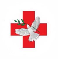 Научно-исследовательский институт неотложной детской хирургии и травматологии